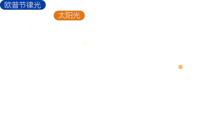 尊龙凯时·(中国)人生就是搏!